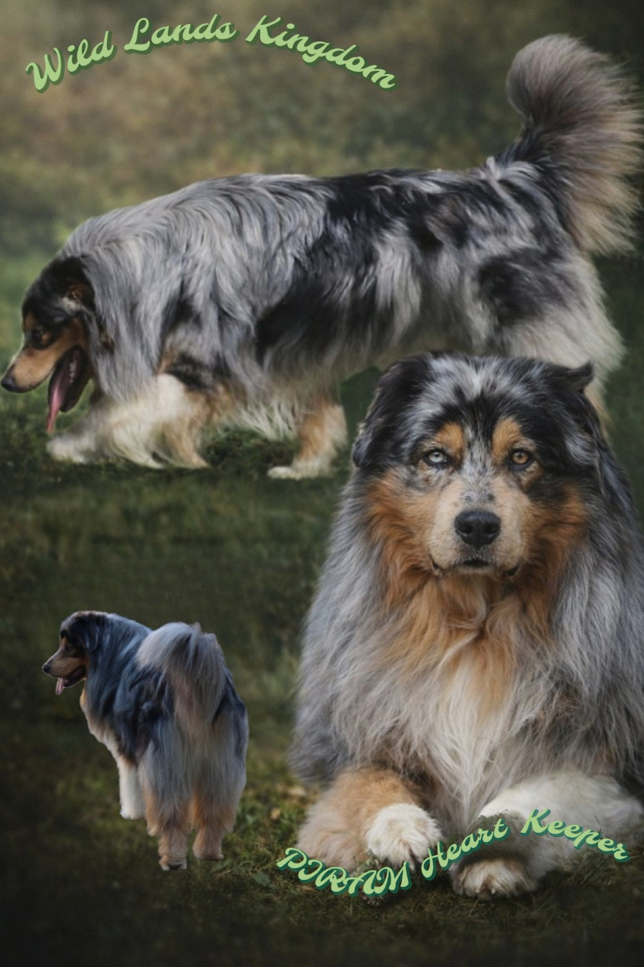 Wild Lands Kingdom Piram heart keeper