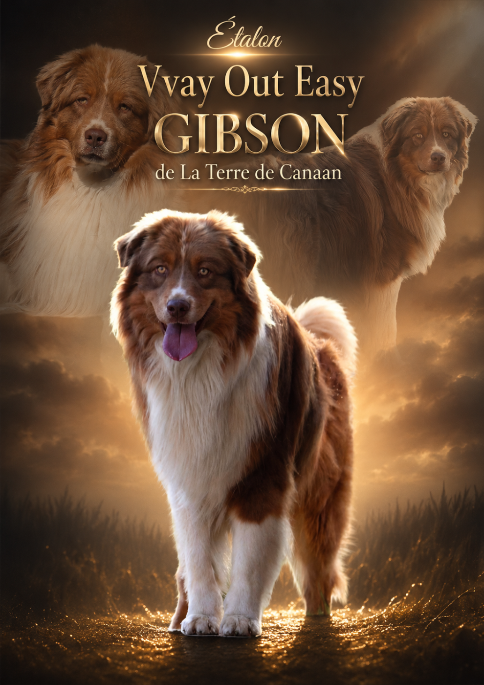 Vvay out easy gibson De La Terre De Canaan