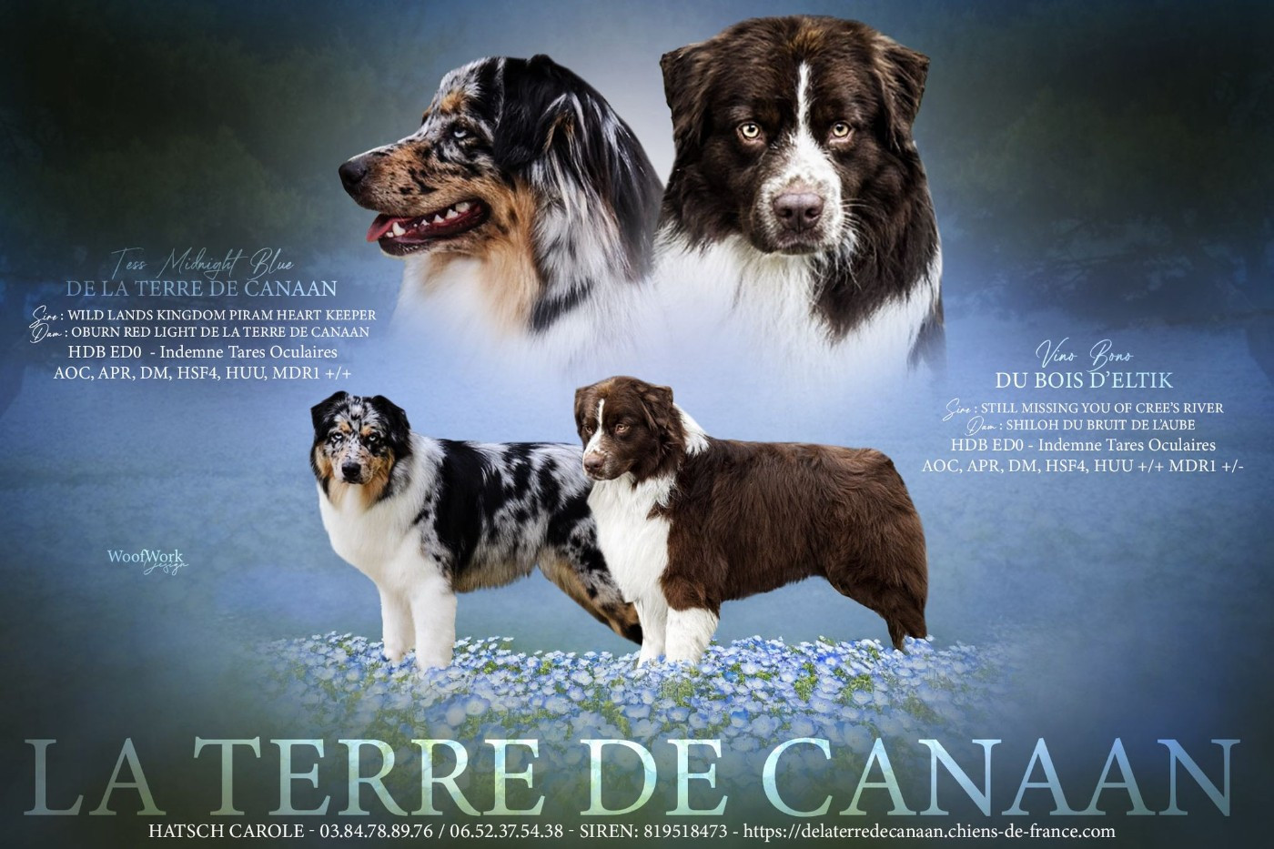 De La Terre De Canaan - Mariage 2026